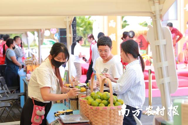 美國民調：若2024拜登再戰川普將呈五五波拉鋸；期中選舉兩黨膠著，共和黨有望奪下眾議院