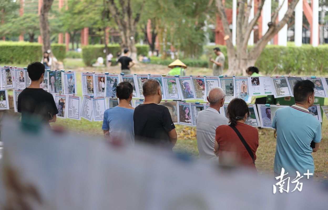 相亲角现场，人们认真看着一张张征婚信息。