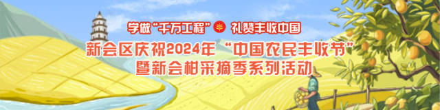 新会区“土特产”喜迎丰收年！绘就“百千万工程”引领下产业振兴新画卷