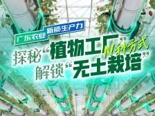 探秘“植物工厂”，设施农业“种”出新花样