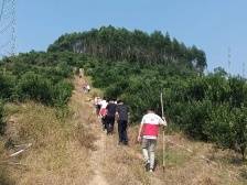 100多人搜山6天！新会7旬走失老人被找回