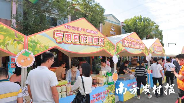 新会区庆祝2024年“中国农民丰收节”暨新会柑采摘季系列活动启动仪式现场，宁明县的展位区，一众花山靓货吸引湾区消费者驻足。
