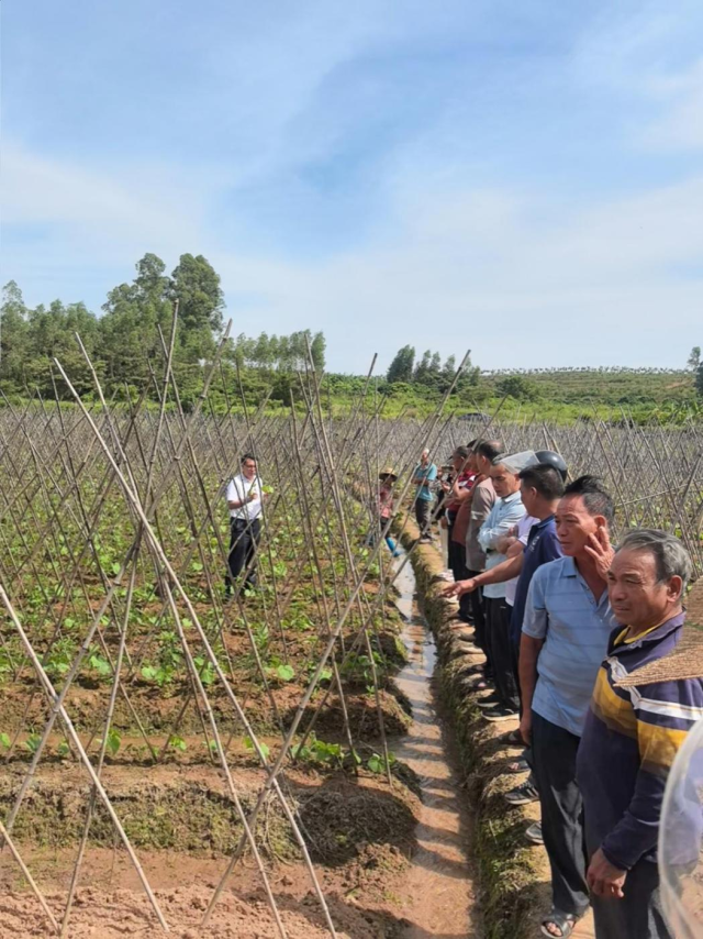 学员们在田间观摩学习。