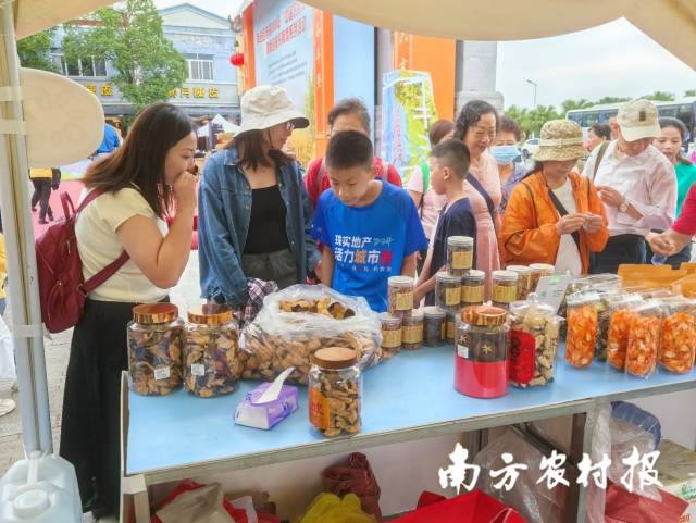 游客纷纷驻足了解道地新会陈皮。 