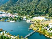 点赞！“发展壮大农村集体经济”10个典型案例公布