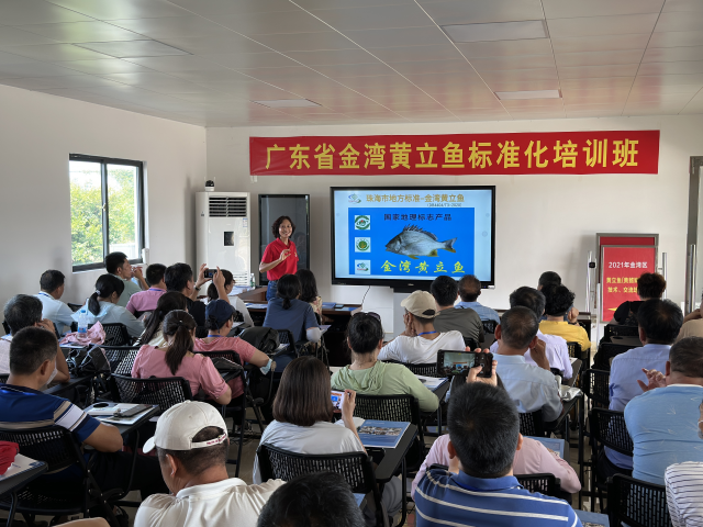 金灣黃立魚(yú)標(biāo)準(zhǔn)化培訓(xùn)現(xiàn)場(chǎng)
