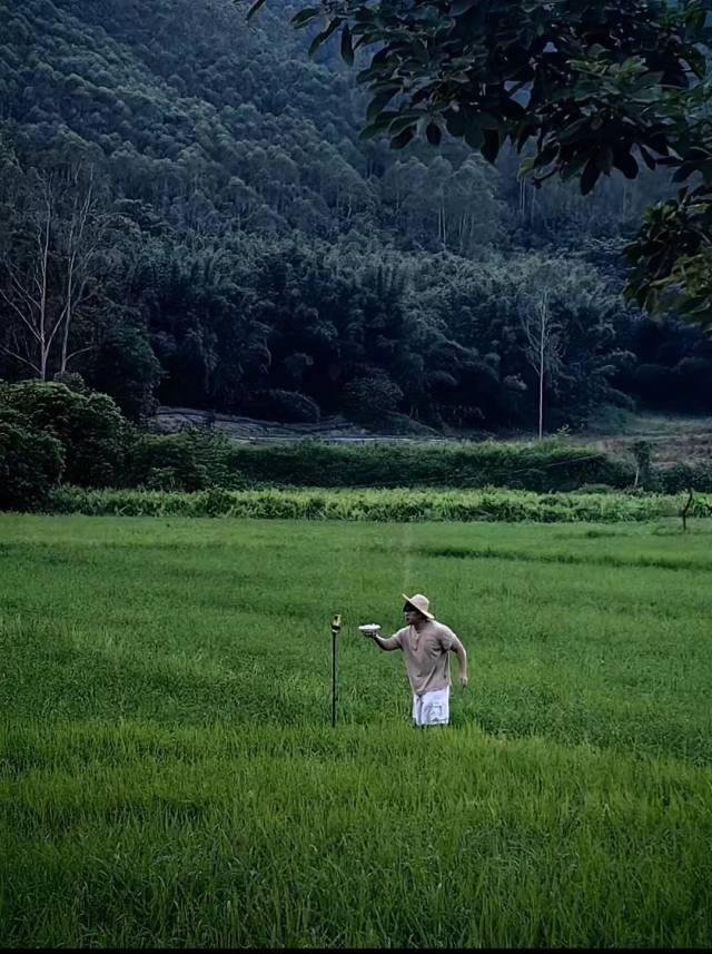 家明在稻田中拍摄。 
