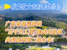 发展壮大农村集体经济！第二批10个典型案例公布