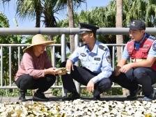 新会区会城街道：绘就平安“底色”，提升幸福“成色”