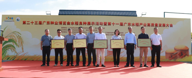 丝苗米产业示范村授牌仪式。 