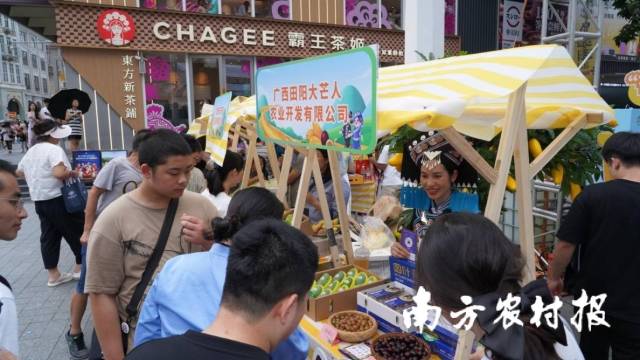2024年“壯山農(nóng)鮮”農(nóng)特產(chǎn)品走進粵港澳大灣區(qū)（廣州）專場推介會。