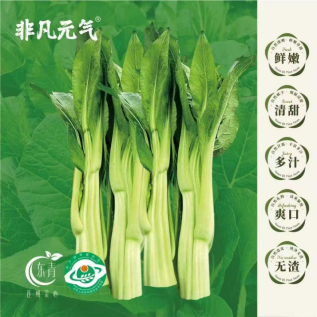 “元?dú)馓飯@”電商小程序?qū)⑸霞苓B州菜心,。