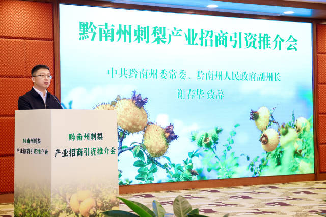 黔南州委常委,、副州長(zhǎng)謝春華。