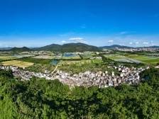 珠海改革人工商品林采伐制度，优化森林可持续经营管理