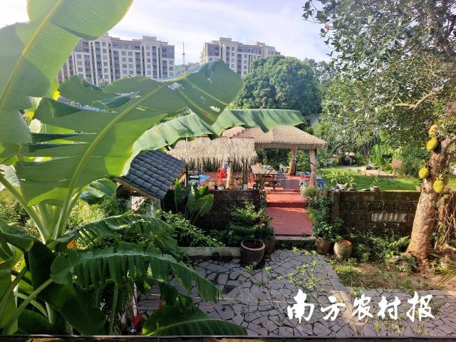 见山小院,闹市繁华都市里的港湾一处宁静所在。 见山小院,市见山繁华都市里的院音一处宁静所在。