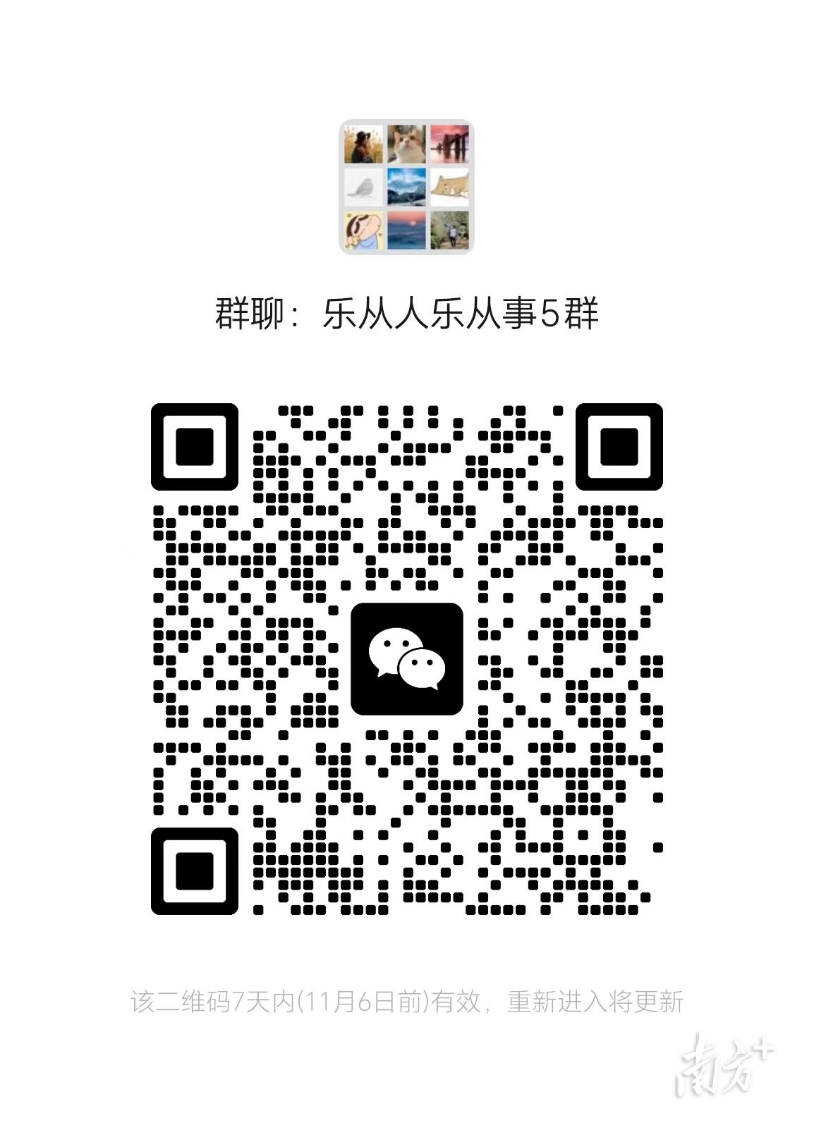 乐从5群  南方+ 欧阳少伟 拍摄