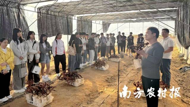 食用菌种植专家、致富带头人熊桂林向师生们分享了有关种植故事和经验。 食用菌种植专家、致富带头人熊桂林向师生们分享了有关种植故事和经验。