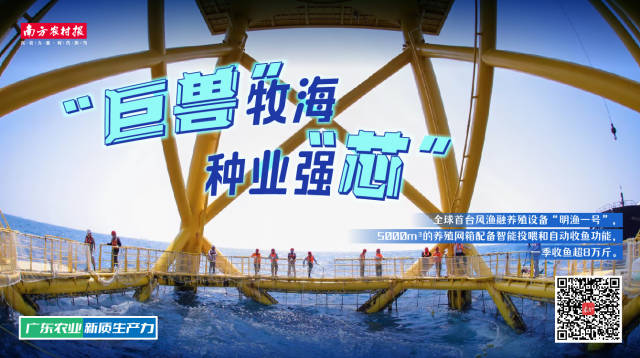 受訪者供圖