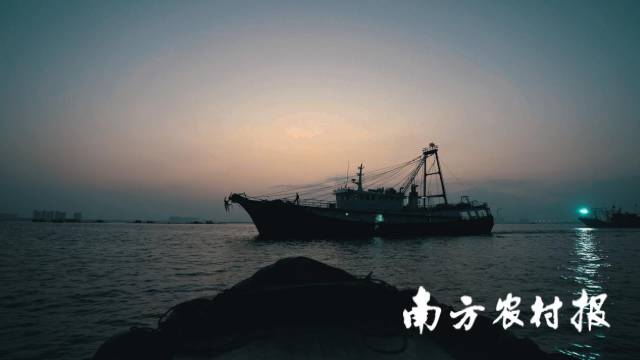 太陽(yáng)還在海平線下，漁民乘坐小船,，將漁獲運(yùn)回碼頭,。  