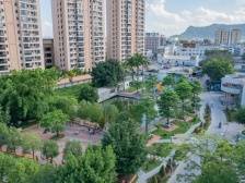 1平方公里集聚约80家企业，庵埠镇霞露村探索城乡融合发展新路径丨百千万·“潮”前跑