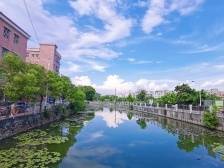 新雅街岑境村：聚力创建典型村，助力“百千万工程”