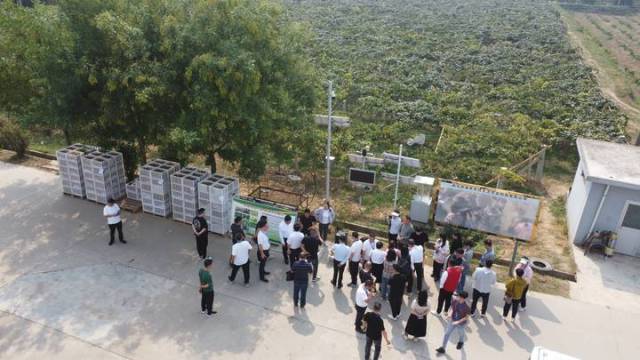 近百名粤港澳大湾区客商来陕产地行（资料图）