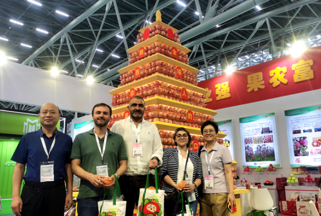 陕西水果在广州举行的2023国际水果展上展销（资料图）