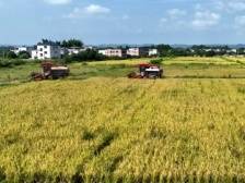 兴宁市合水镇：推进全域土地综合整治，助力“百千万工程”