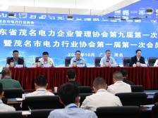 茂名市电力行业协会成立，并召开第一次会员大会
