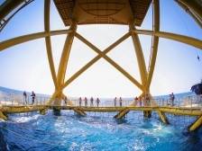 “巨兽”牧海，种业强“芯”