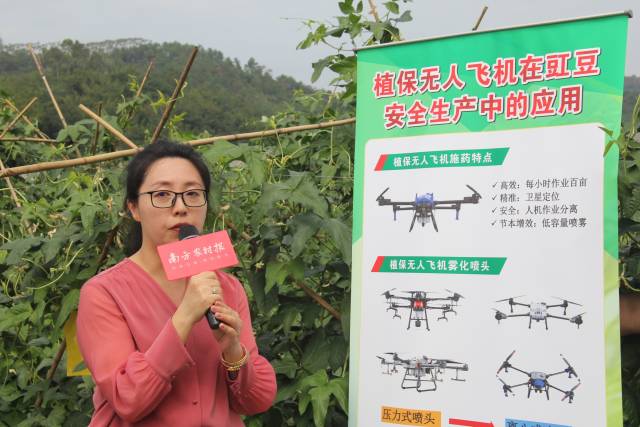 广东省农业科学院植保所博士王潇楠 广东省农业科学院植保所博士王潇楠