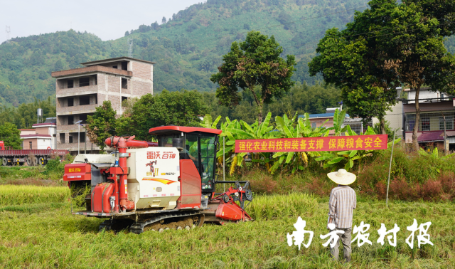 水稻機(jī)收減損技術(shù)教學(xué)現(xiàn)場