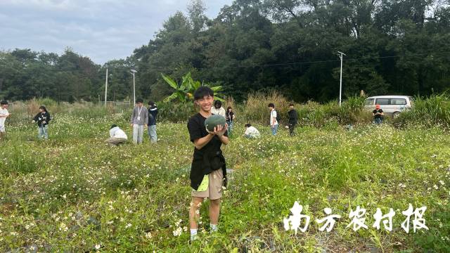 研学团来到一六镇“拿比特”西瓜种植园开展趣味活动。