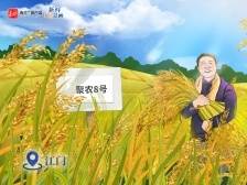 “身高”1.8米！巨型水稻来了 | 新鲜“时”景画