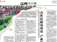 一人一舞台 坚守六十载 | 速览《南方日报·高州视窗》第166期