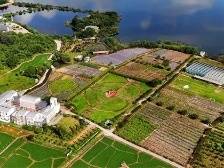 稻浪吉他共舞！本周六相约大湾区吉他展演吉他达人秀