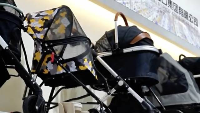 宠物经济火了！“毛孩子”想要的这都有｜广交会“整活了”