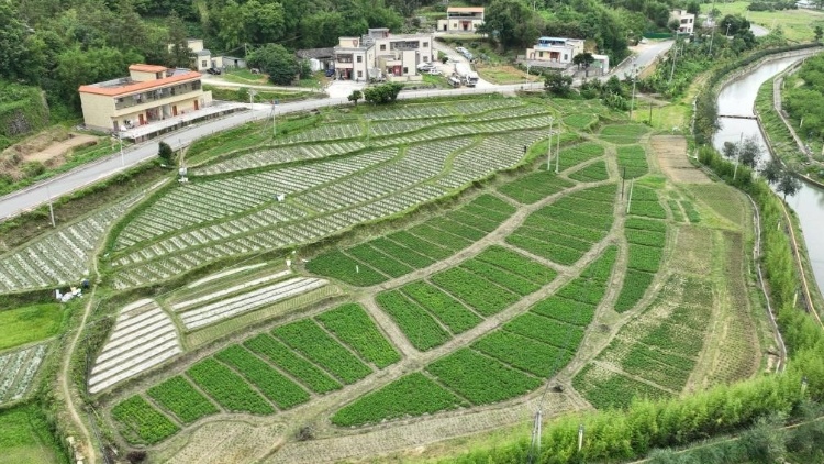 “農(nóng)村土地綜合改革”10個典型案例公布,，這些地方入選,！