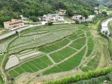 “农村土地综合改革”10个典型案例公布，这些地方入选！