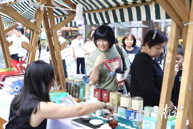 横州茉莉花茶香飘四溢