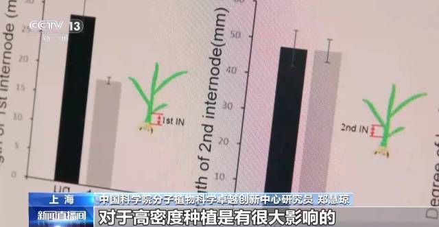 六安五里墩大桥最新消息