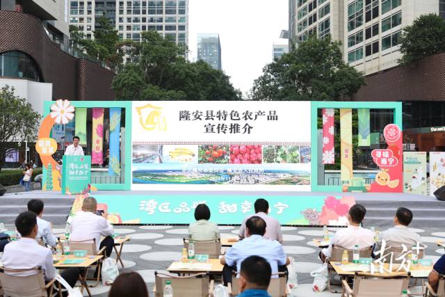 隆安县委常委、副县长施勇