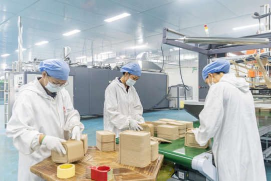 竹粉一次性餐具。摄影：胡斯听