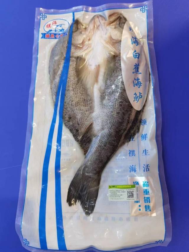 珠海白蕉海鲈