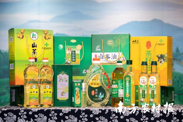 三江油茶有“东方橄榄油”之美誉。 三江油茶有“东方橄榄油”之美誉。