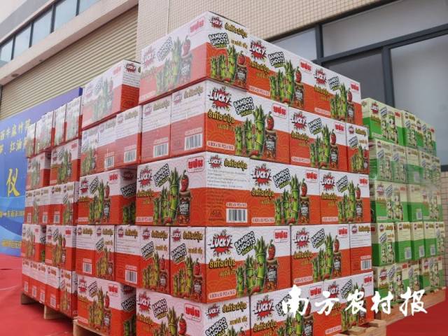 本次出口的山椒笋、红油笋