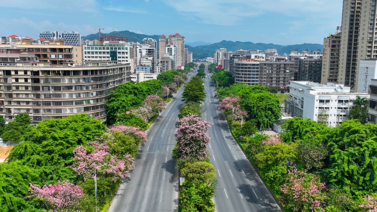 织密城市治理的“针脚”，提升城乡幸福指数｜百千万·看榕城②