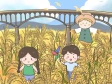 打卡最美稻田！长岗坡渡槽的“新经济密码”丨漫话“百千万工程”