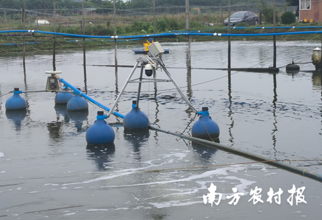 智能设备可对投料时间、投喂量、速度等做出精准控制。 智能设备可对投料时间、投喂量、速度等做出精准控制。