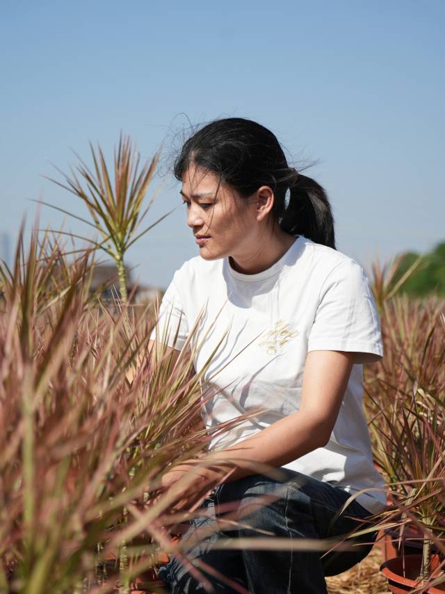 从小就喜爱种植花卉的李园满，将兴趣睁开成为了事业。